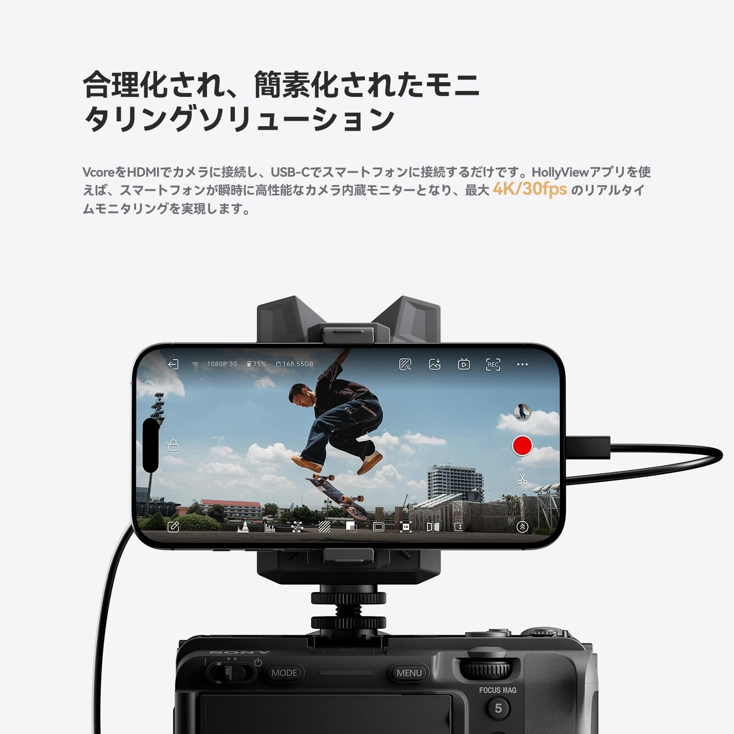 Amazon.co.jp: HollyView: Vcore